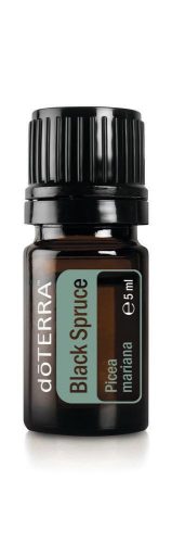 Kanadai fekete luc olaj 5 ml, Black Spruce doTERRA
