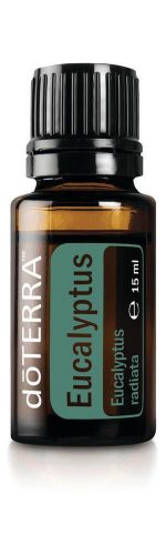 Eukaliptusz olaj 15 ml, Eucalyptus doTERRA